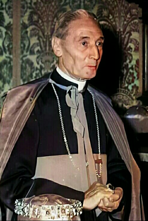 Cardinal Enrico Dante, papal Master of Ceremonies.